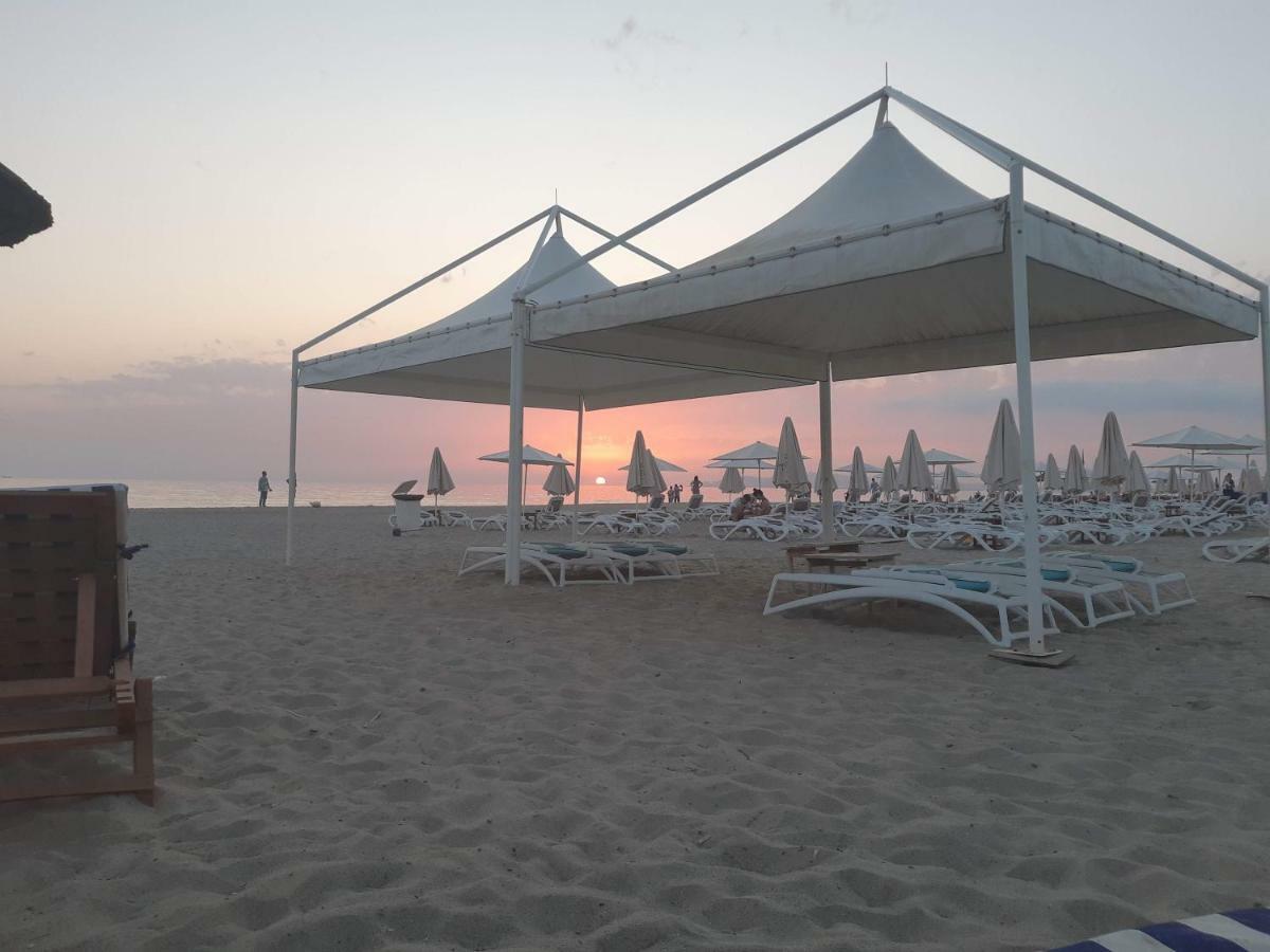 Comfy Beachfront - 50m From The Sea *